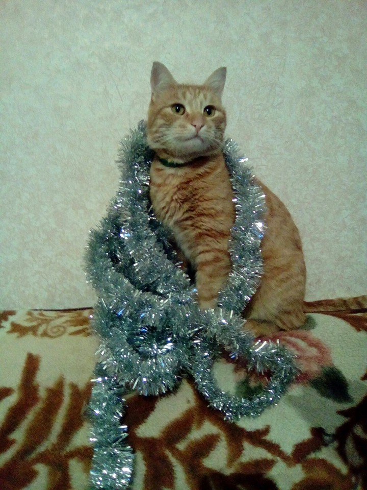 ми ми ми