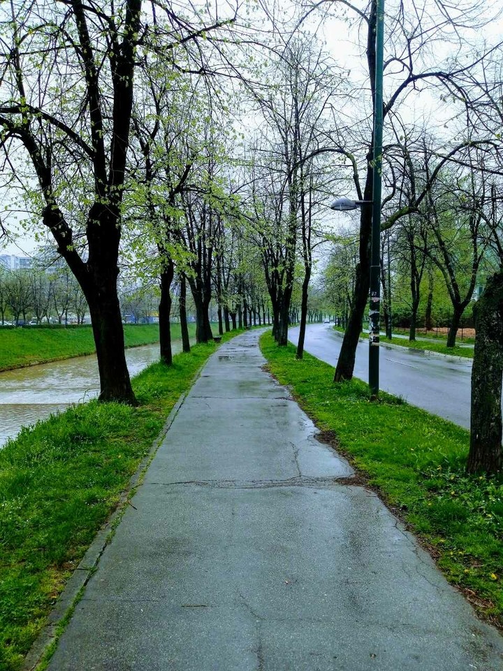 Spring rain