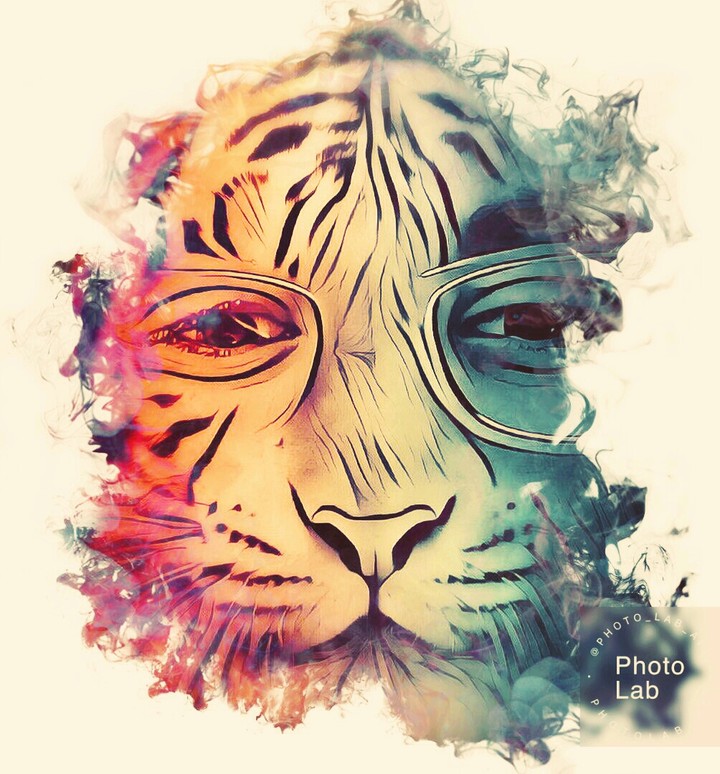 tigers got it