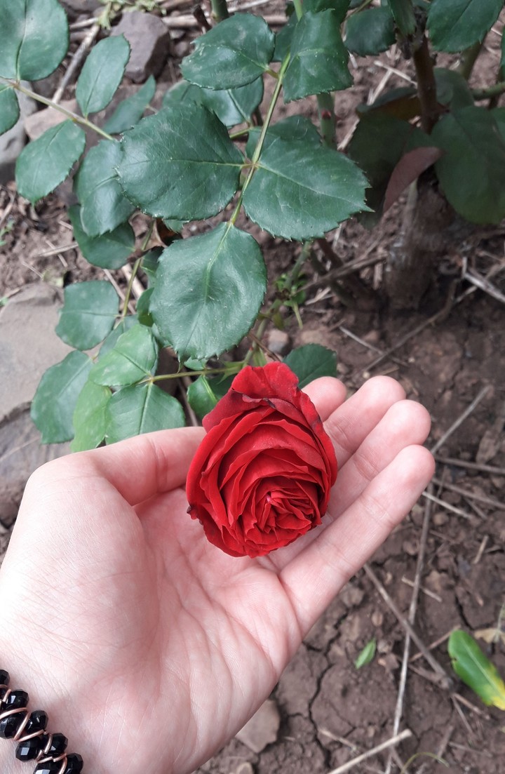 ❤
