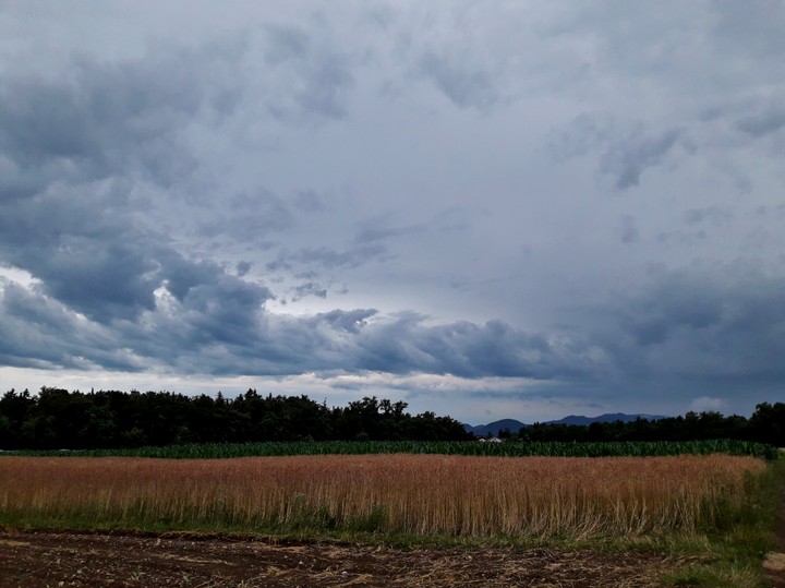 before the storm