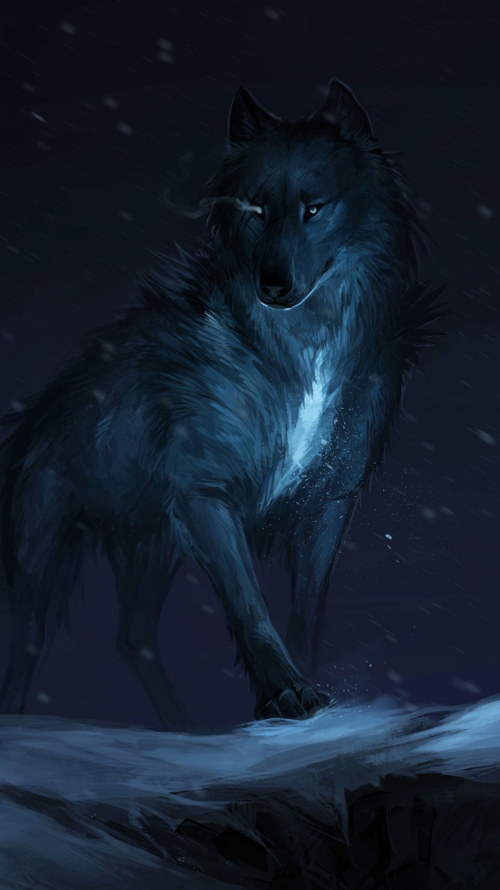 Wolf's night life