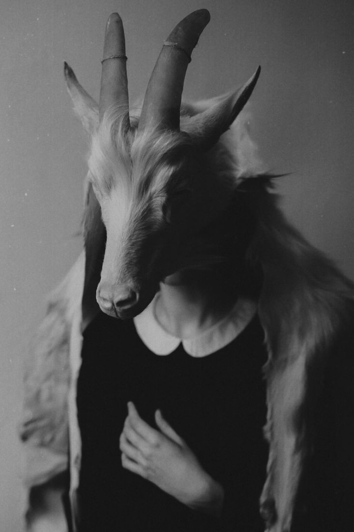 pup