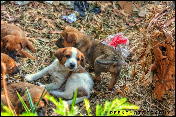 #reekclicks #reekphotography