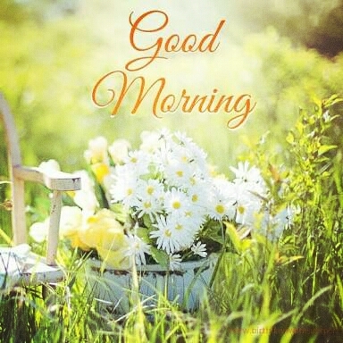 good morning