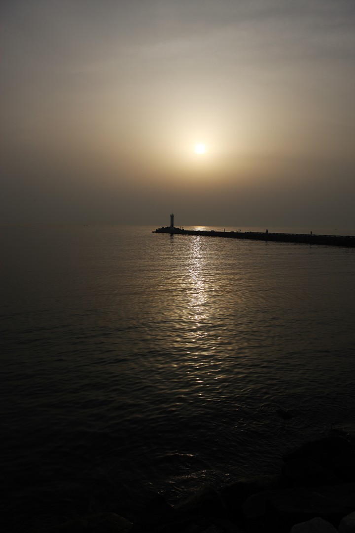 Scenics