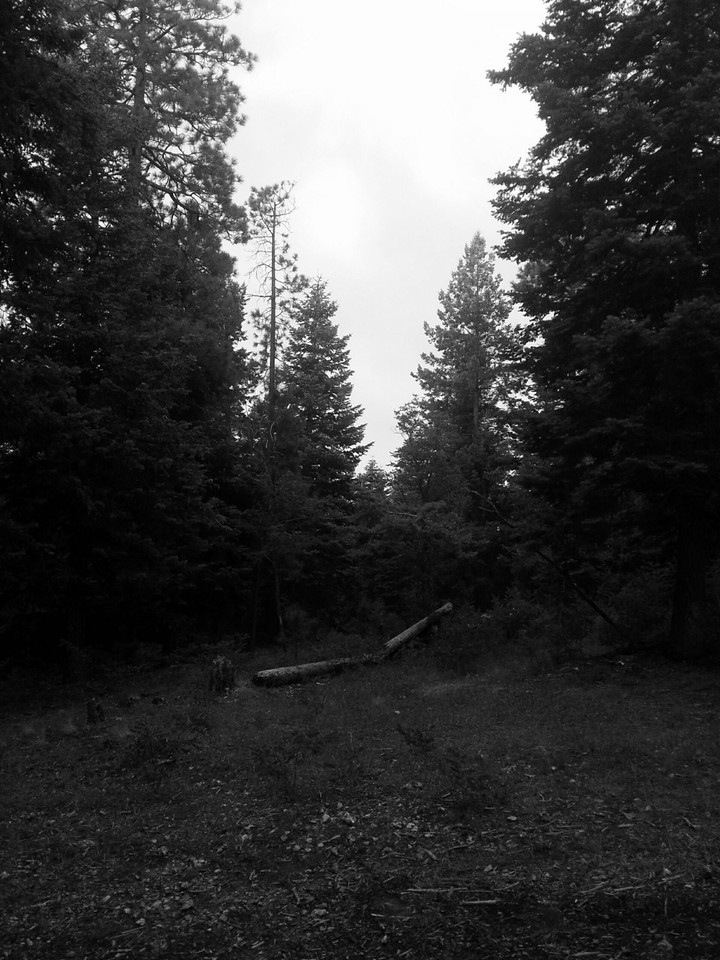 Payson