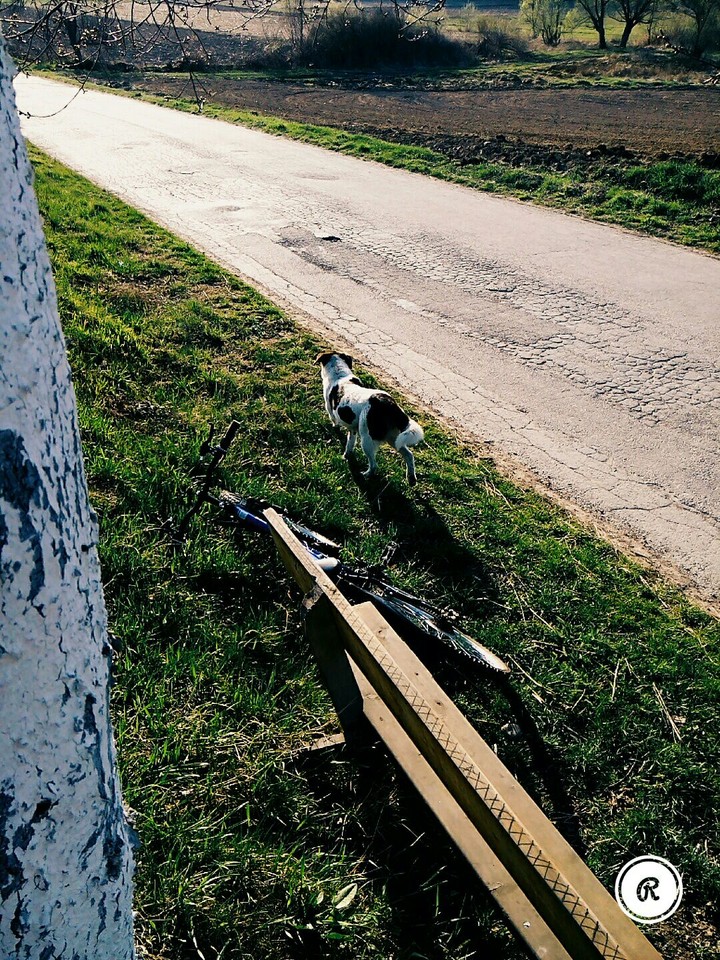 Waiting Summer