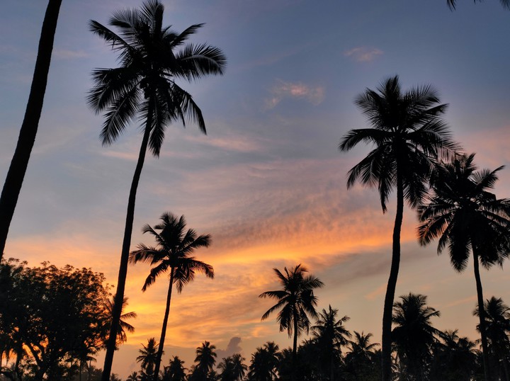 sunrise