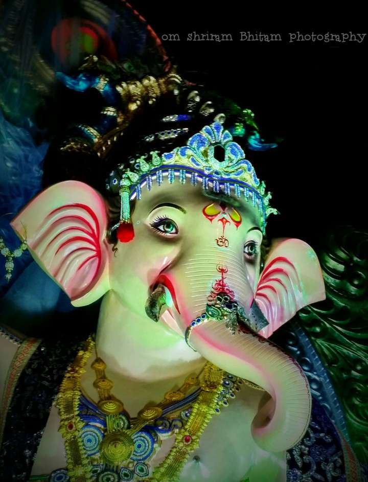 bhoiwada cha maharaja 2017