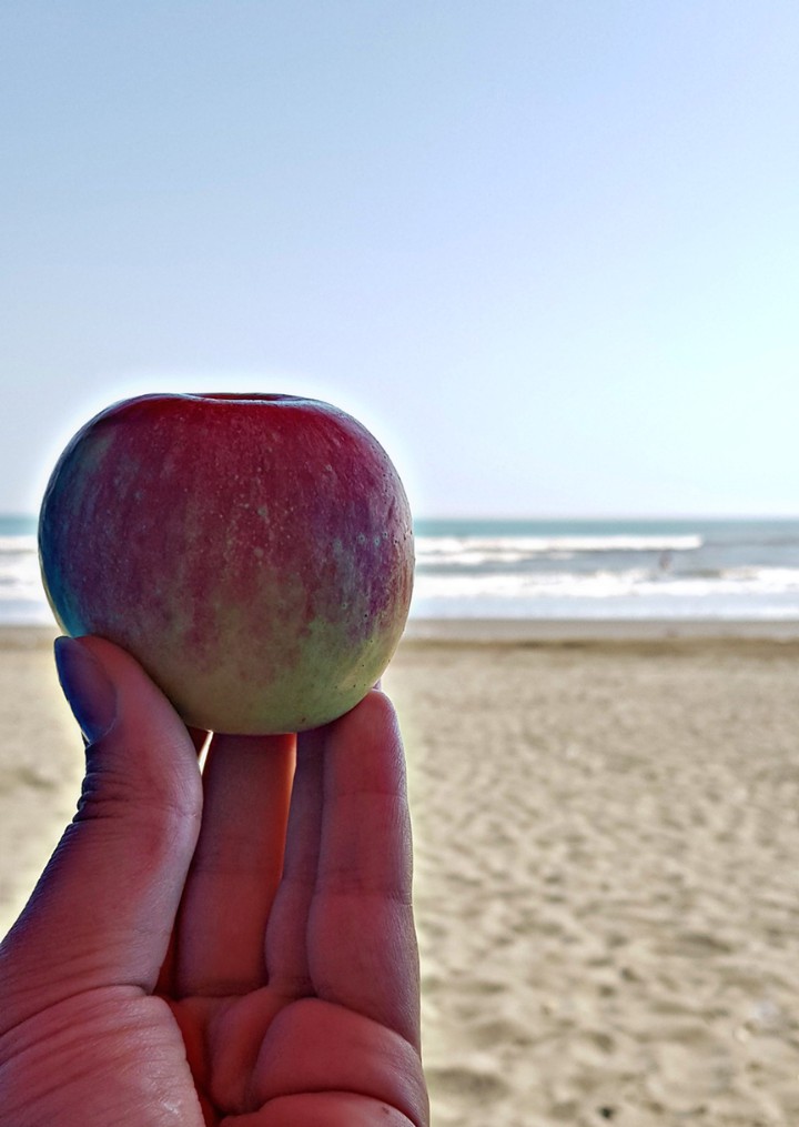 apple and sea