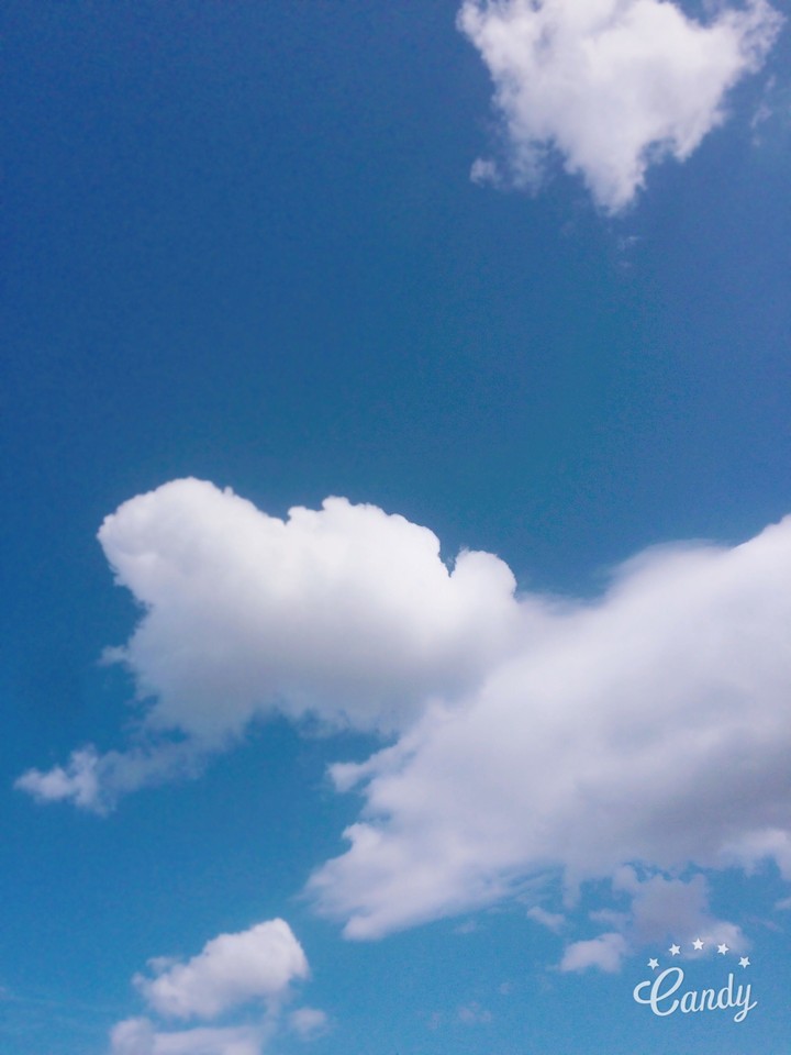 Freedom