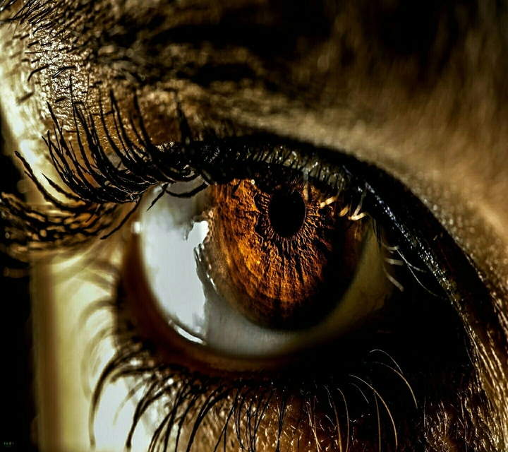 eye