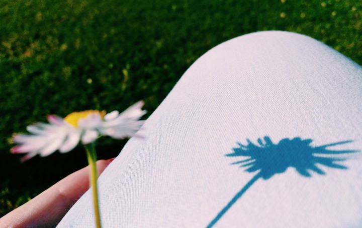 flower shadow