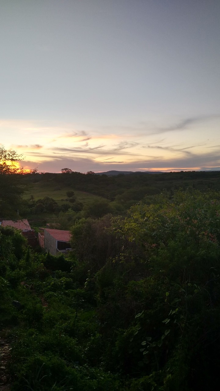 brazil