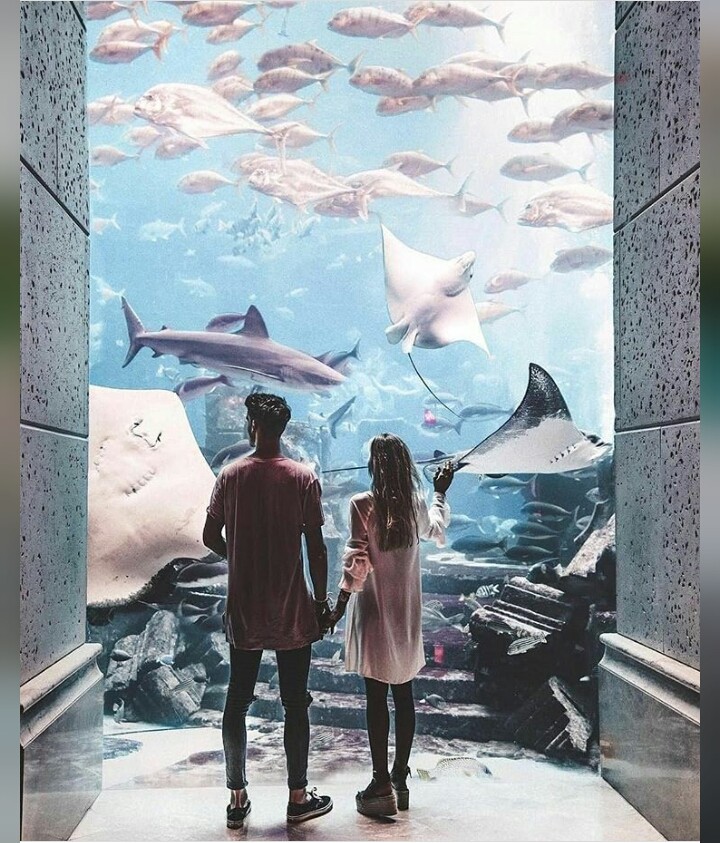 With Boyfriend