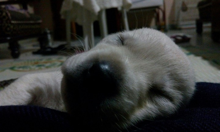 Deep Nap