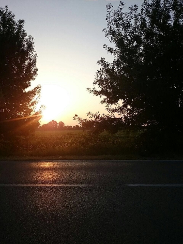 alba