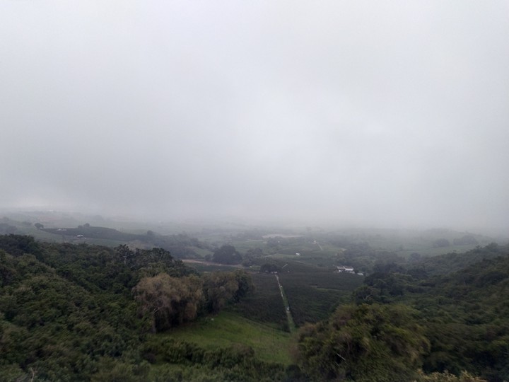 neblina