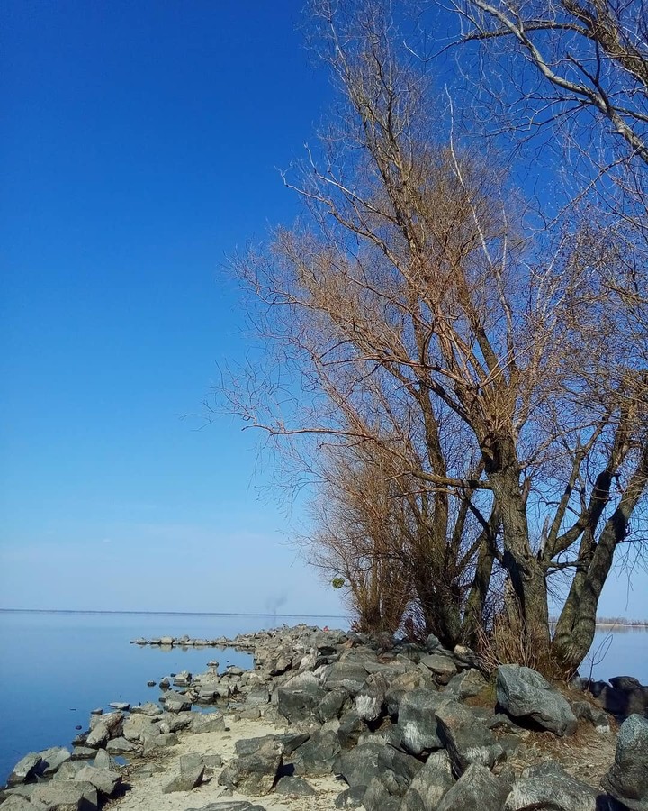 Ufer