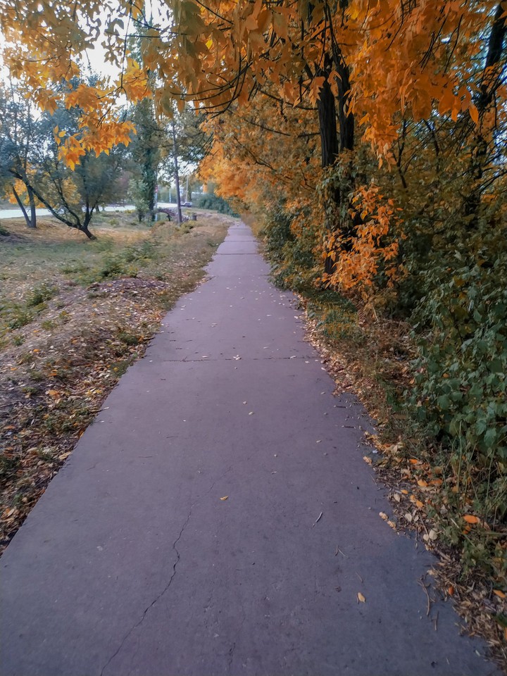 осень