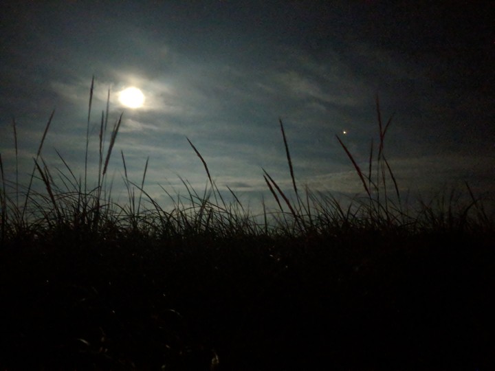 Moon Gazing