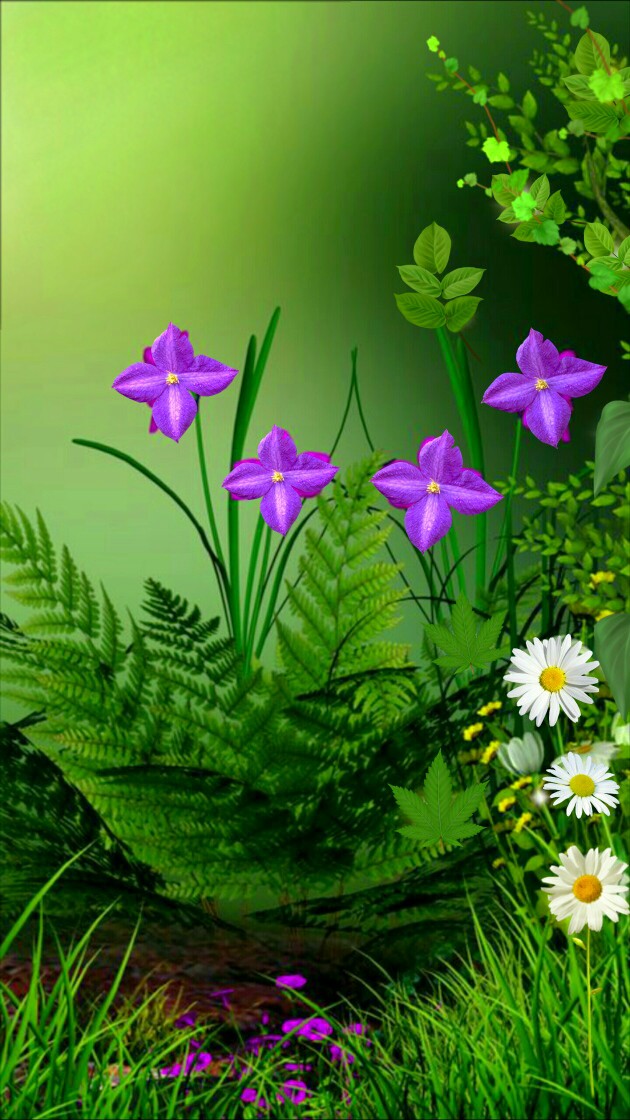 Flowers