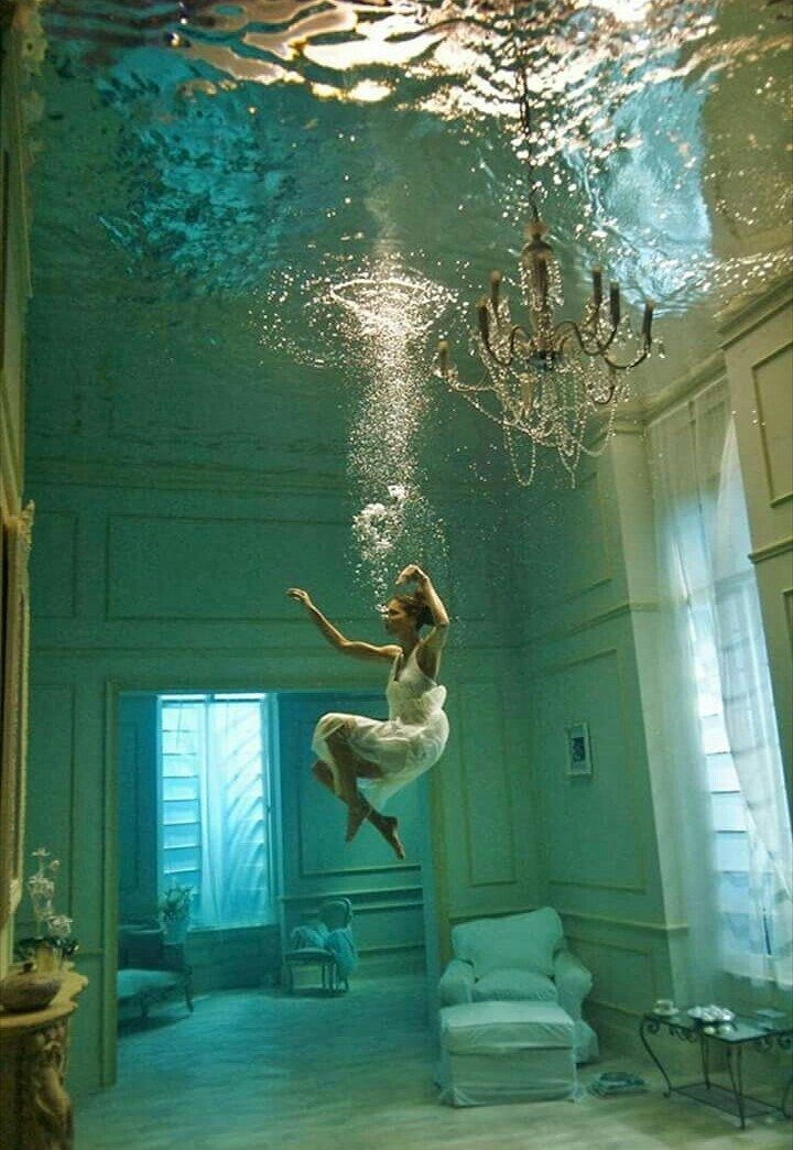 Can u imagine the photo