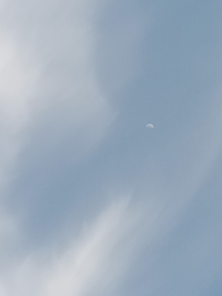 하늘