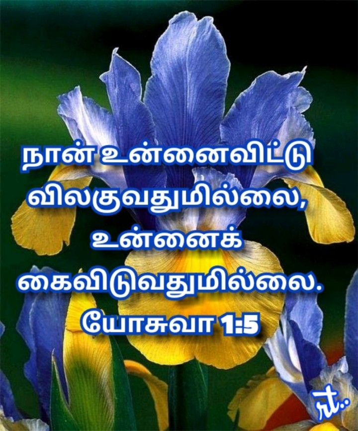 promises
