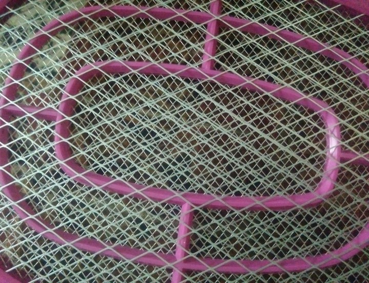 pink mosquito bat