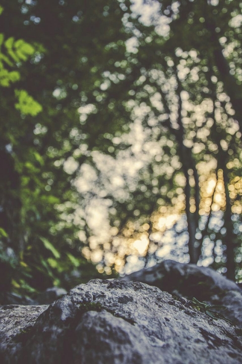 vintage natural