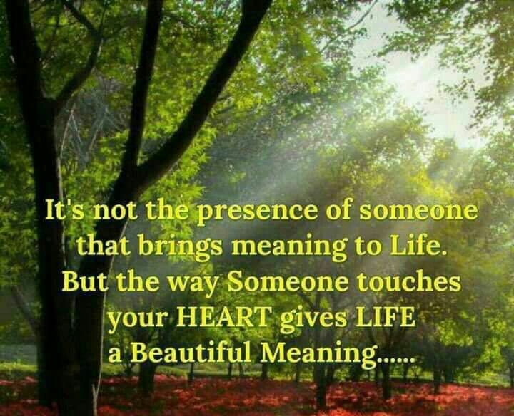 Good morning