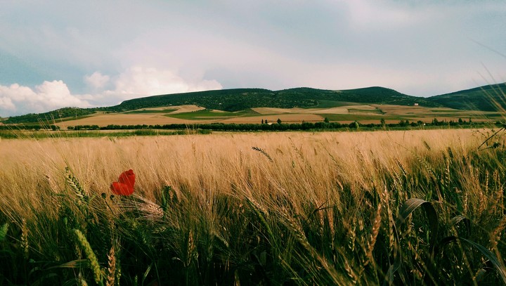 plains 
