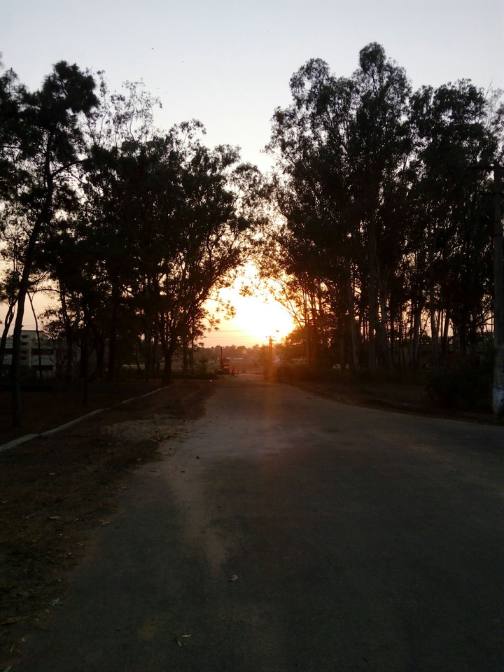 beautiful sunset