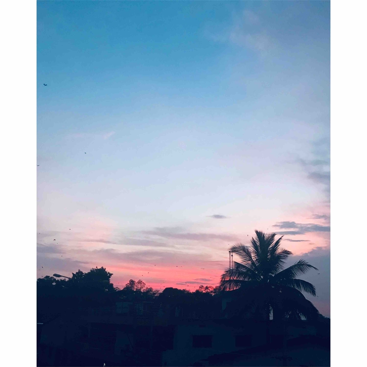 sky love