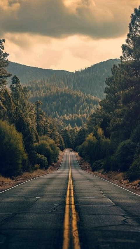 тапети landscapes, forest