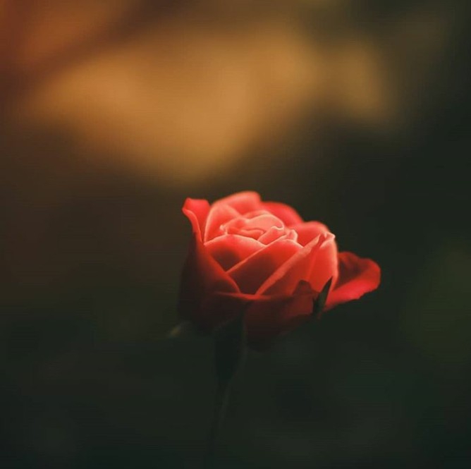 hope