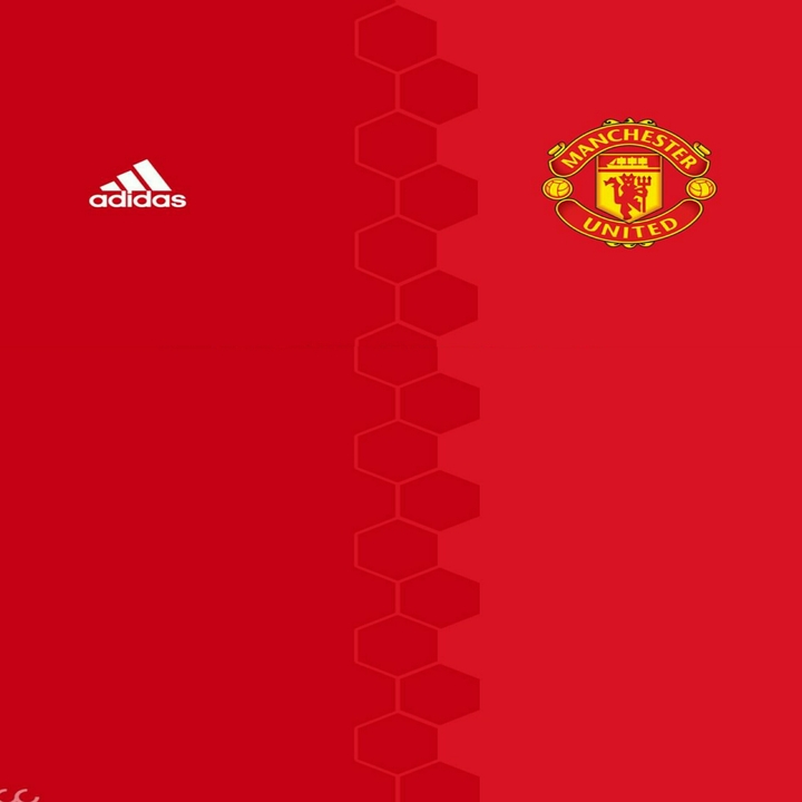 Manchester United Blank Dress