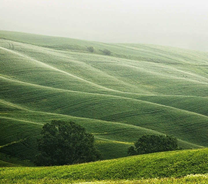 nature