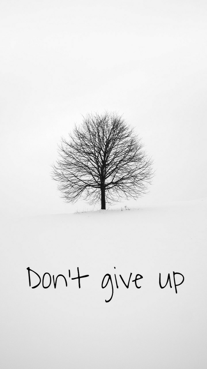 Never give up