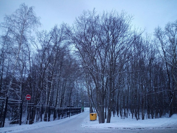 winter