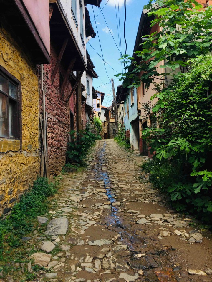 Bursa