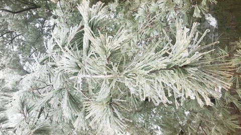 ice storm
