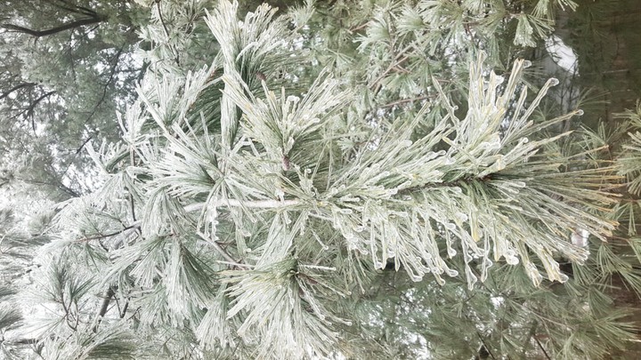 ice storm