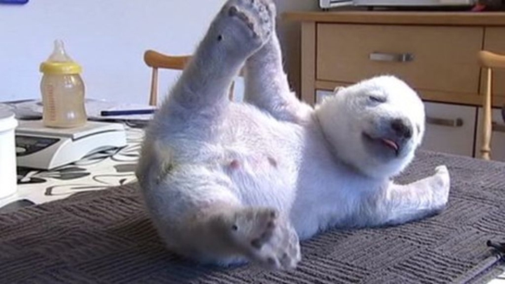 AWWWWWWWWWW?????
