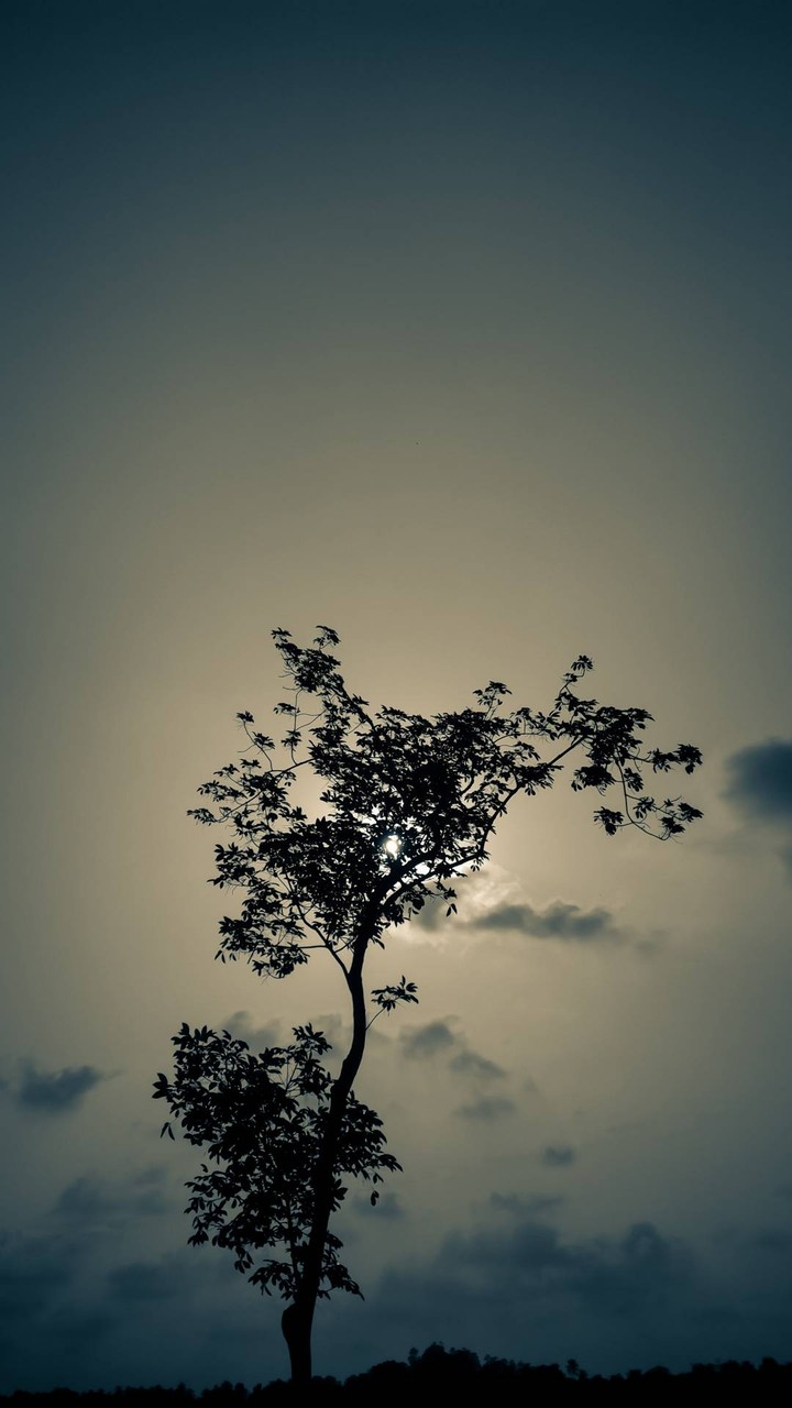 cloudy weather