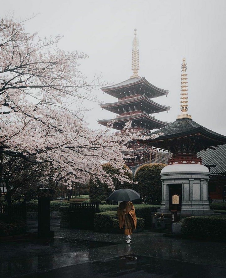 asakusa tokyo