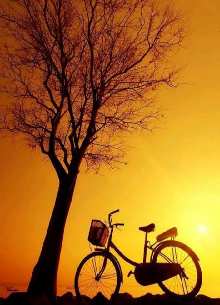 circle