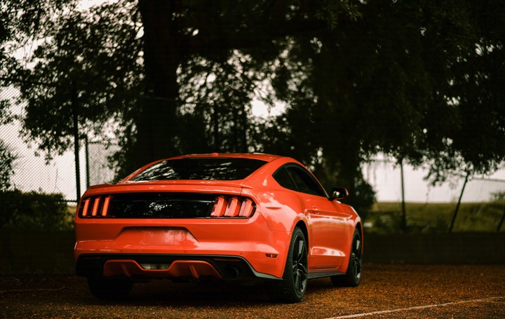 love car.